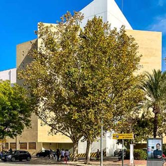 auditorio-victor-villegas-vista